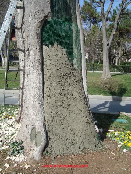 Name:  Ant Aa Restorasyonu 127.jpg
Views: 912
Size:  70.2 KB