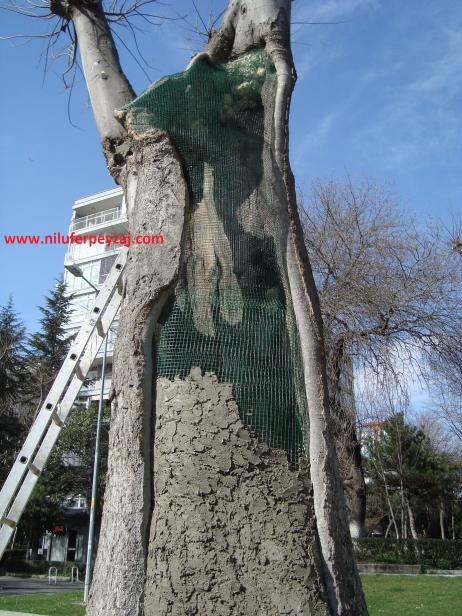 Name:  Ant Aa Restorasyonu 128.jpg
Views: 901
Size:  70.6 KB