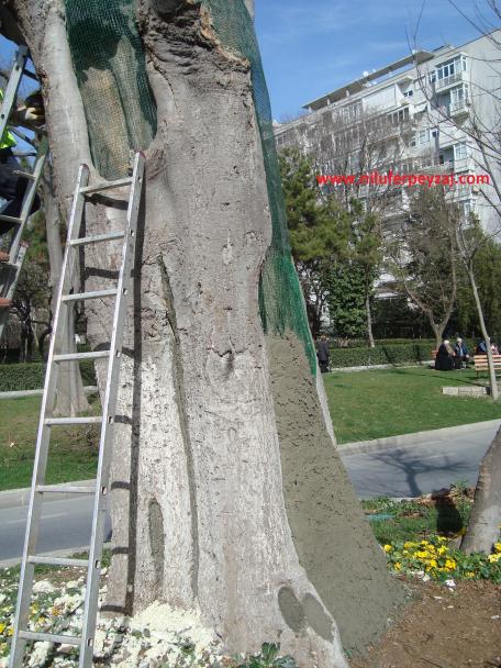 Name:  Ant Aa Restorasyonu 129.jpg
Views: 909
Size:  70.2 KB