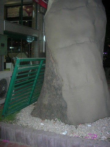 Name:  DSCN7578.JPG
Views: 11527
Size:  48.7 KB