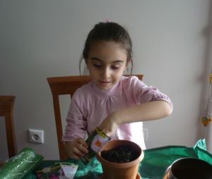 Name:  Duru-22.jpg
Views: 1306
Size:  10.2 KB