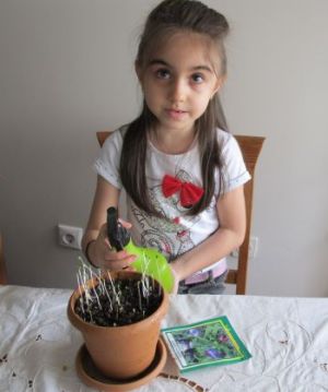 Name:  IMG_5852.jpg
Views: 499
Size:  15.9 KB
