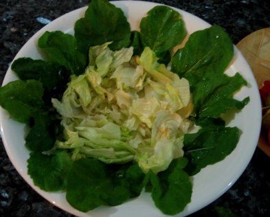 Name:  Salata susulemek 002.jpg
Views: 1974
Size:  26.5 KB