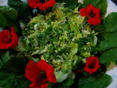 Name:  Salata susulemek 003.jpg
Views: 1743
Size:  29.6 KB