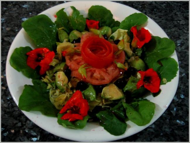 Name:  Salata susulemek 012.jpg
Views: 1208
Size:  47.1 KB