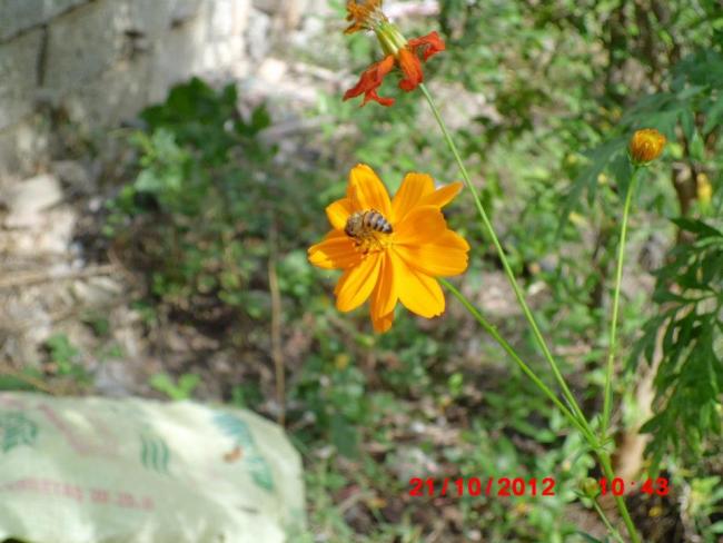 Name:  1.jpg
Views: 968
Size:  47.2 KB