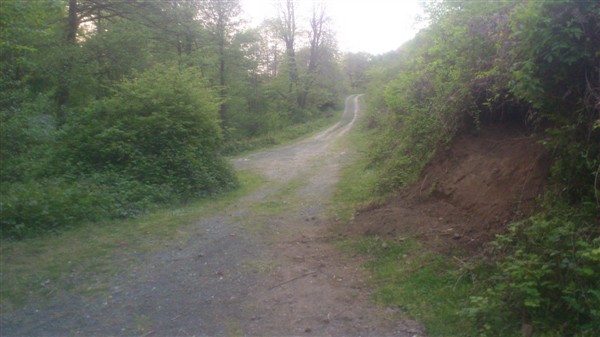 Name:  DSC_0489.jpg
Views: 558
Size:  51.0 KB