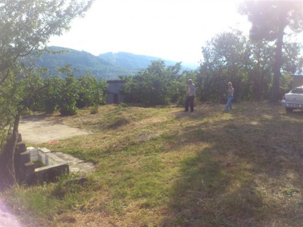Name:  DSC_1936.jpg
Views: 554
Size:  40.7 KB