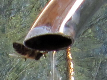 Name:  IMG_1976.JPG
Views: 1068
Size:  32.3 KB
