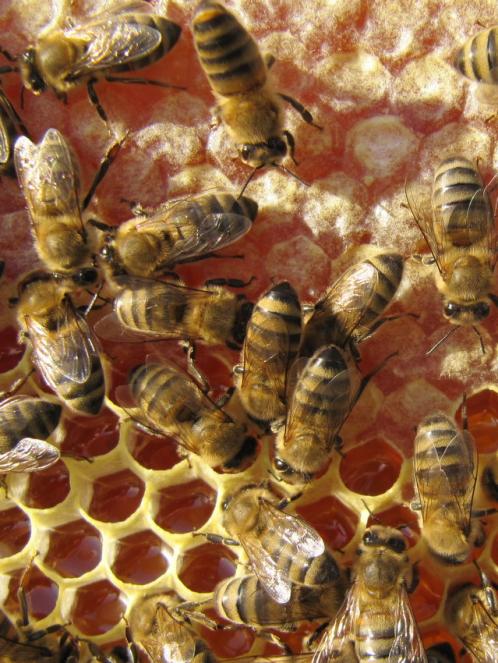 Name:  IMG_3672.jpg
Views: 624
Size:  70.4 KB