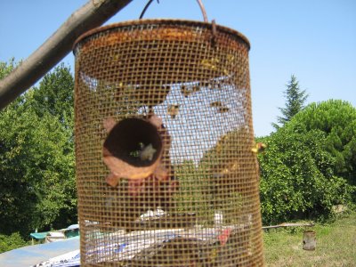 Name:  tuzak 2.jpg
Views: 1106
Size:  40.6 KB