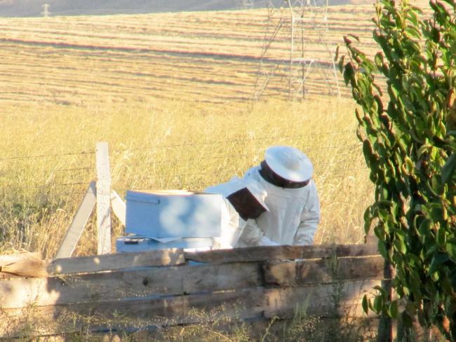 Name:  IMG_7096.jpg
Views: 592
Size:  62.3 KB