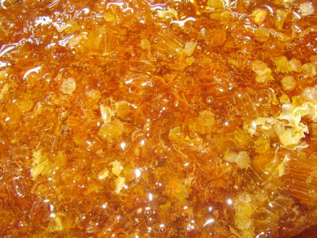 Name:  IMG_7152.jpg
Views: 575
Size:  70.9 KB