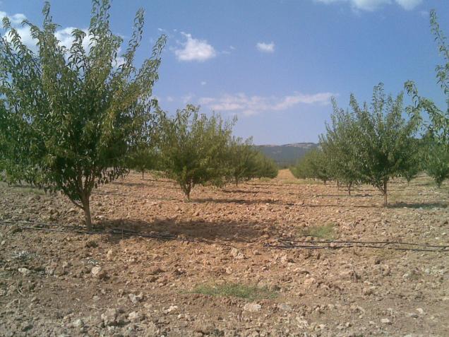 Name:  29082009(007).jpg
Views: 8141
Size:  70.3 KB