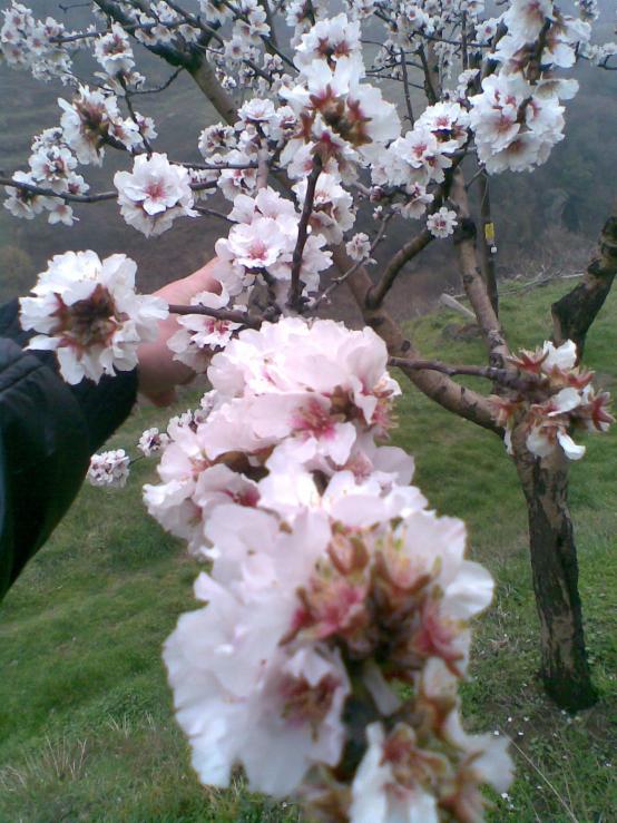 Name:  Salim257.jpg
Views: 2288
Size:  74.9 KB