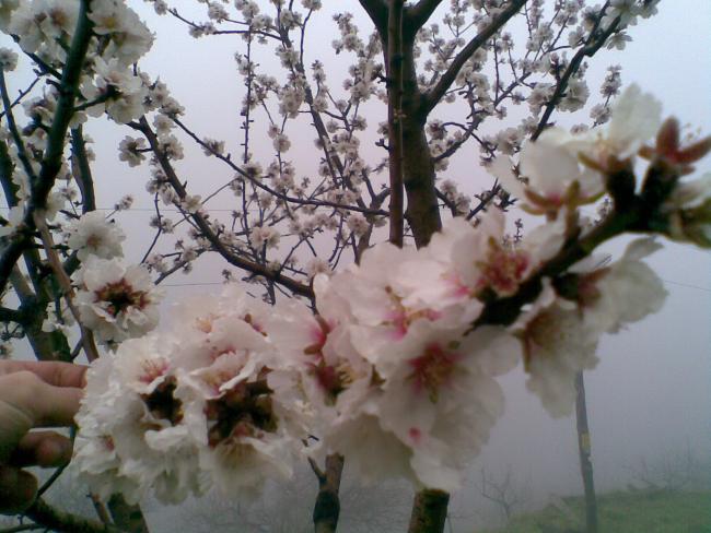 Name:  Salim261.jpg
Views: 2351
Size:  54.3 KB