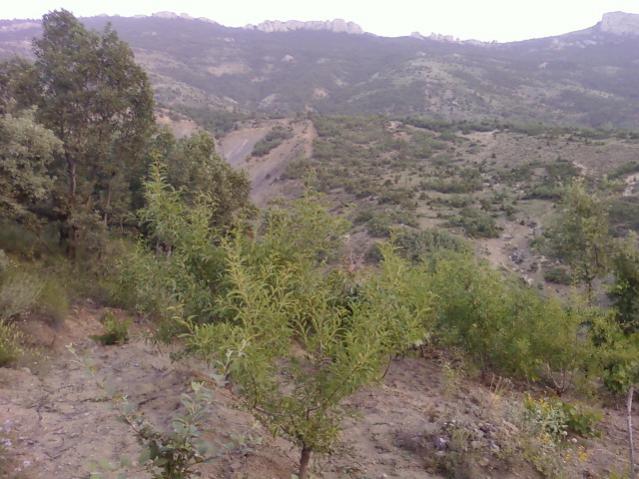 Name:  Fotoraf0511.jpg
Views: 1594
Size:  54.3 KB