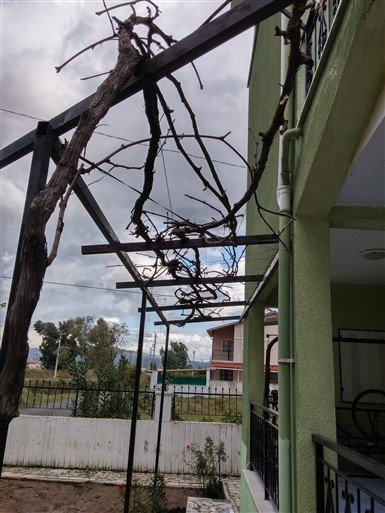 Name:  20151024_152829_HDR (385 x 513).jpg
Views: 1065
Size:  68.7 KB