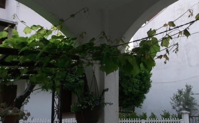 Name:  DSCF0474.jpg
Views: 22087
Size:  36.7 KB