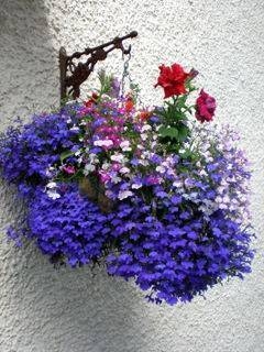 Name:  p8030050.jpg
Views: 1793
Size:  69.9 KB