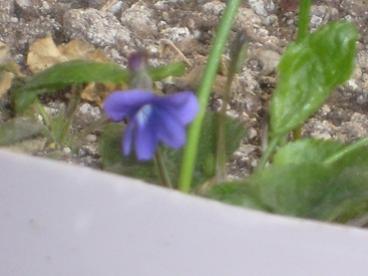 Name:  1d-09.03.2010.jpg
Views: 1595
Size:  14.5 KB