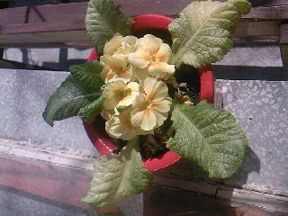 Name:  SP_A0214.jpg
Views: 1272
Size:  33.8 KB
