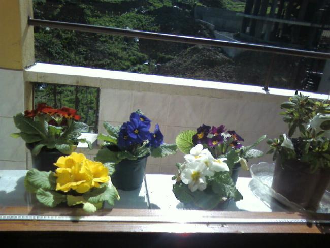 Name:  serkanm (74).jpg
Views: 1314
Size:  47.5 KB