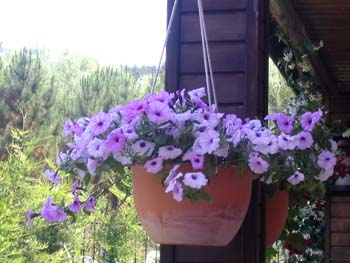Name:  21_haziran 006.JPG
Views: 5337
Size:  61.7 KB