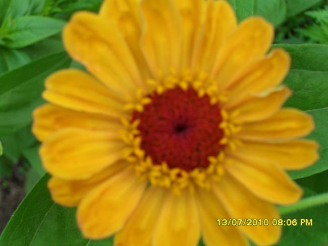 Name:  Resim 1614.jpg
Views: 1949
Size:  28.3 KB