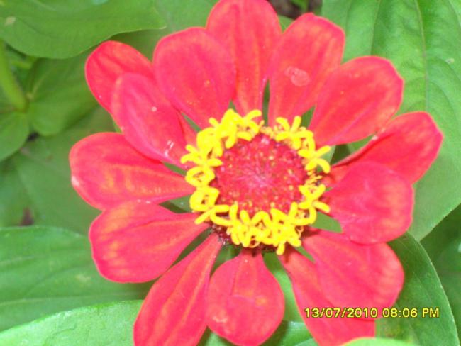 Name:  Resim 1613.jpg
Views: 1877
Size:  40.3 KB