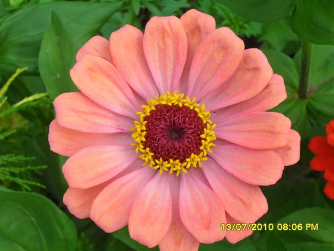 Name:  Resim 1612.jpg
Views: 1925
Size:  39.2 KB