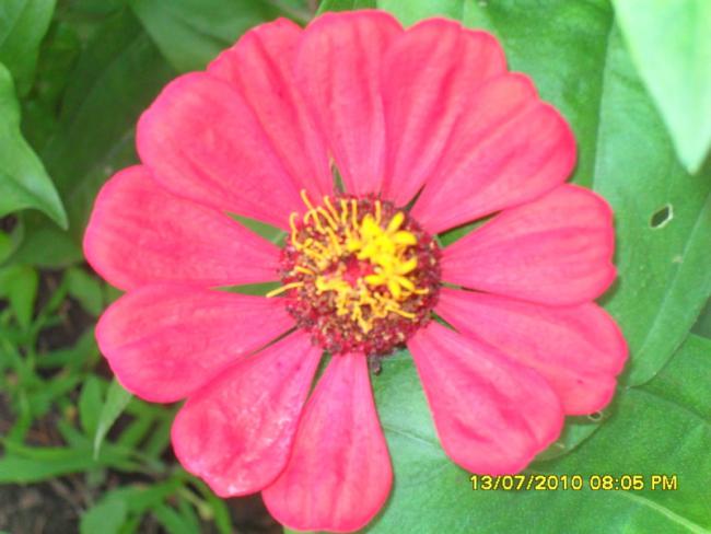 Name:  Resim 1611.jpg
Views: 1938
Size:  38.9 KB