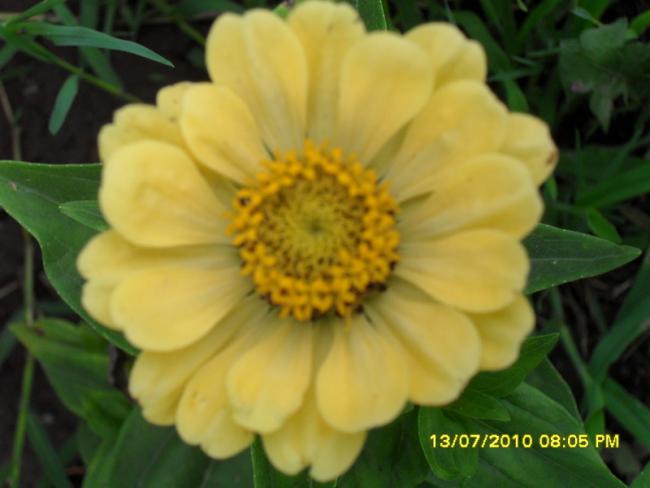 Name:  Resim 1610.jpg
Views: 1916
Size:  31.5 KB