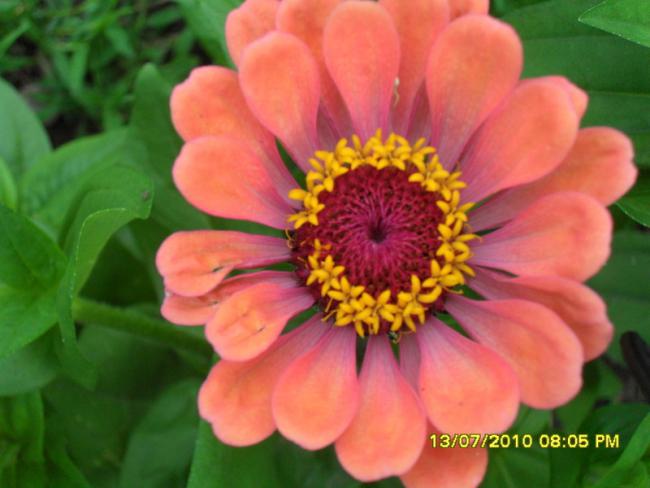 Name:  Resim 1608.jpg
Views: 1938
Size:  37.0 KB