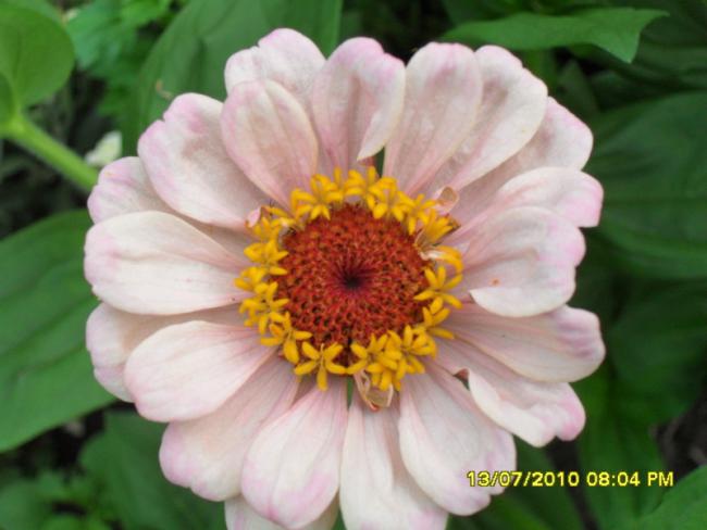 Name:  Resim 1605.jpg
Views: 1913
Size:  35.6 KB