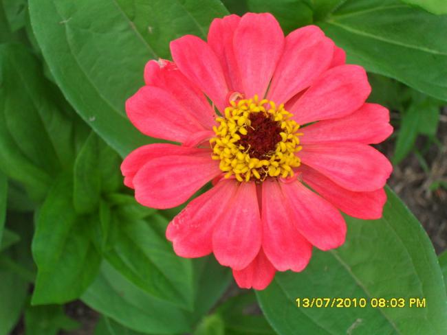 Name:  Resim 1603.jpg
Views: 1914
Size:  36.0 KB
