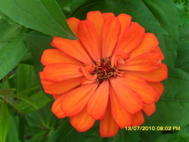 Name:  Resim 1596.jpg
Views: 1890
Size:  36.1 KB