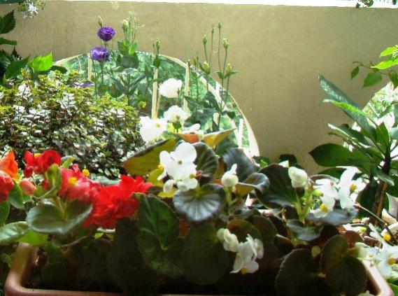 Name:  DSC01736.jpg
Views: 3164
Size:  48.6 KB