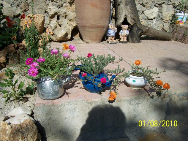 Name:  ipek.jpg
Views: 1162
Size:  70.7 KB