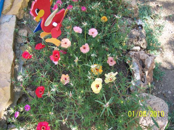 Name:  Resim 257.jpg
Views: 1144
Size:  72.4 KB