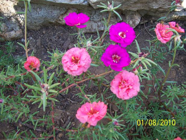 Name:  Resim 260.jpg
Views: 1093
Size:  70.9 KB