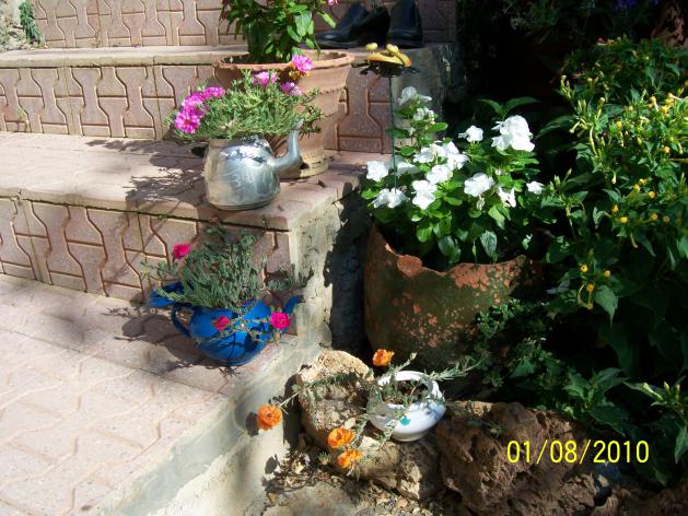 Name:  Resim 246.jpg
Views: 1427
Size:  70.5 KB