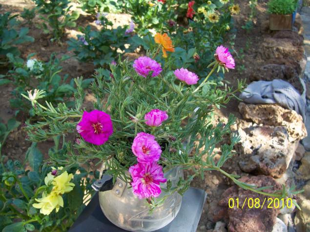 Name:  Resim 261.jpg
Views: 1125
Size:  71.0 KB