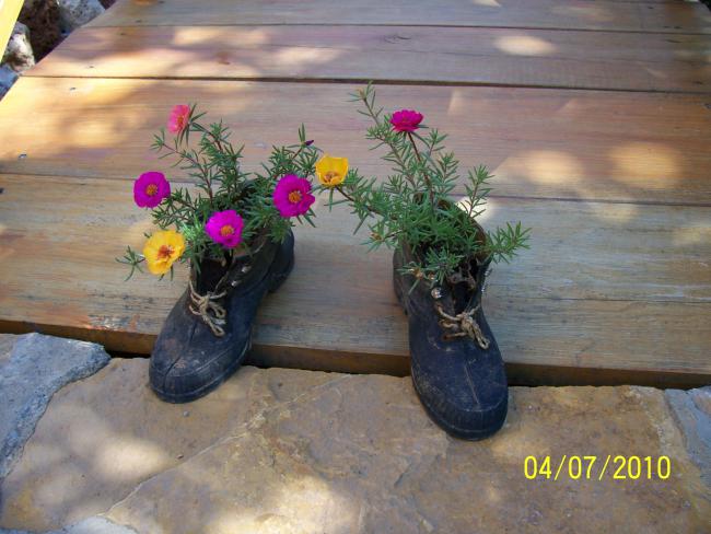 Name:  Resim 245.jpg
Views: 1108
Size:  48.9 KB