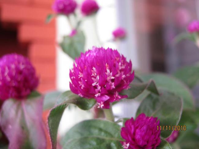 Name:  dme.jpg
Views: 18810
Size:  30.2 KB