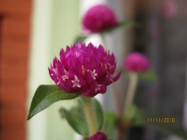 Name:  dme1.jpg
Views: 15933
Size:  23.2 KB