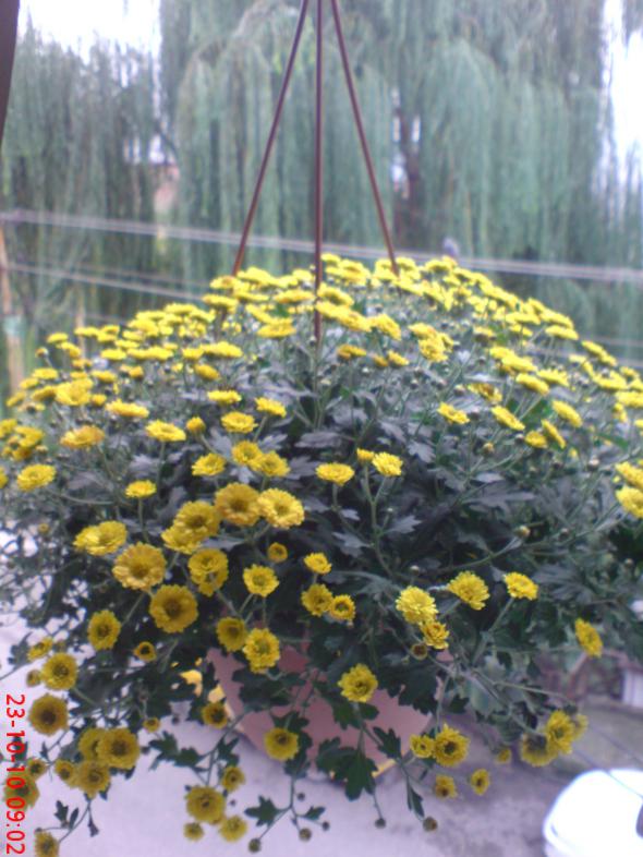 Name:  Resim 009.jpg
Views: 1700
Size:  73.7 KB
