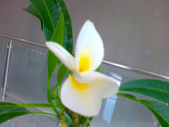 Name:  17052011778.jpg
Views: 792
Size:  29.2 KB