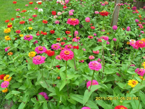Name:  014.jpg
Views: 2034
Size:  72.1 KB