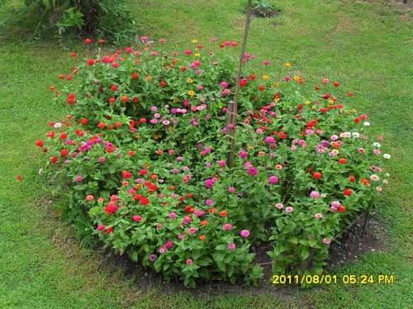 Name:  002.jpg
Views: 1970
Size:  71.4 KB